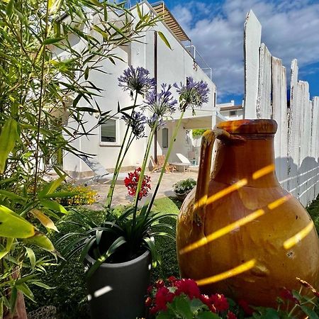 Vila Casa Mila White Marina di Cerveteri Exteriér fotografie