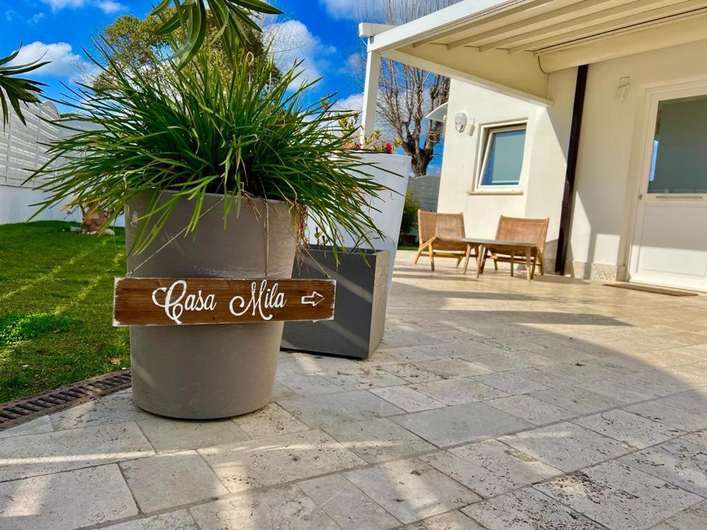 Vila Casa Mila White Marina di Cerveteri Exteriér fotografie