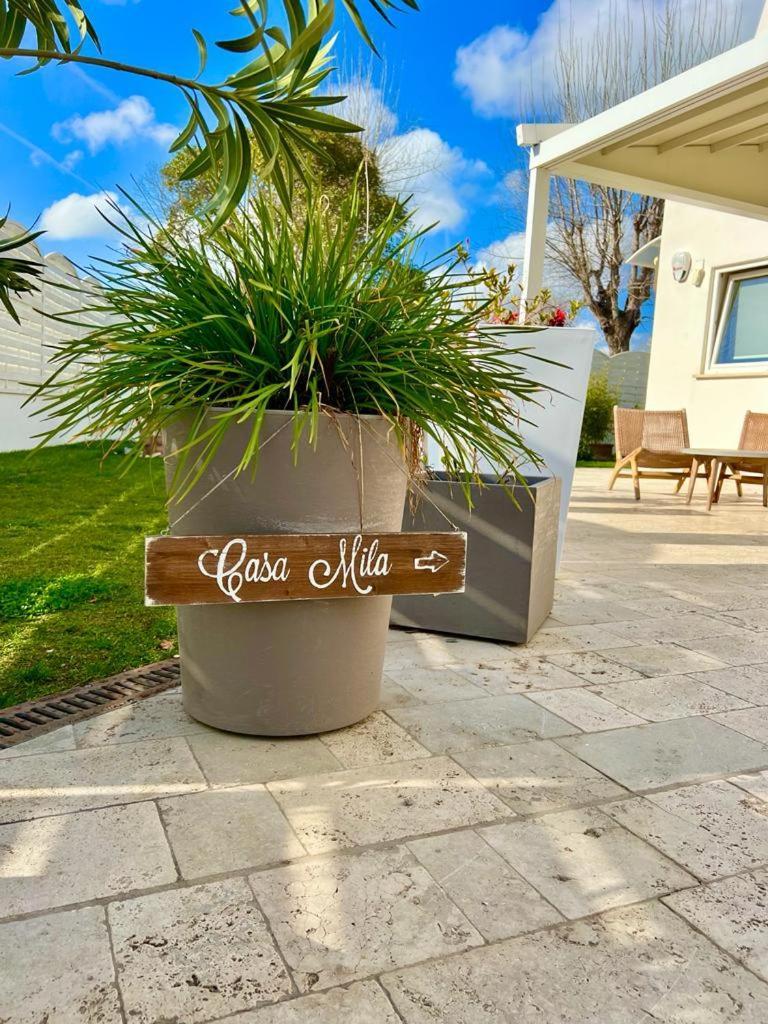 Vila Casa Mila White Marina di Cerveteri Exteriér fotografie