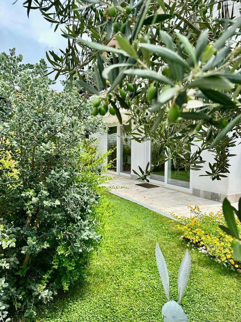 Vila Casa Mila White Marina di Cerveteri Exteriér fotografie