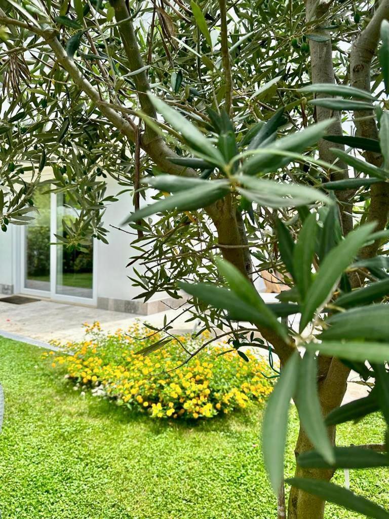Vila Casa Mila White Marina di Cerveteri Exteriér fotografie