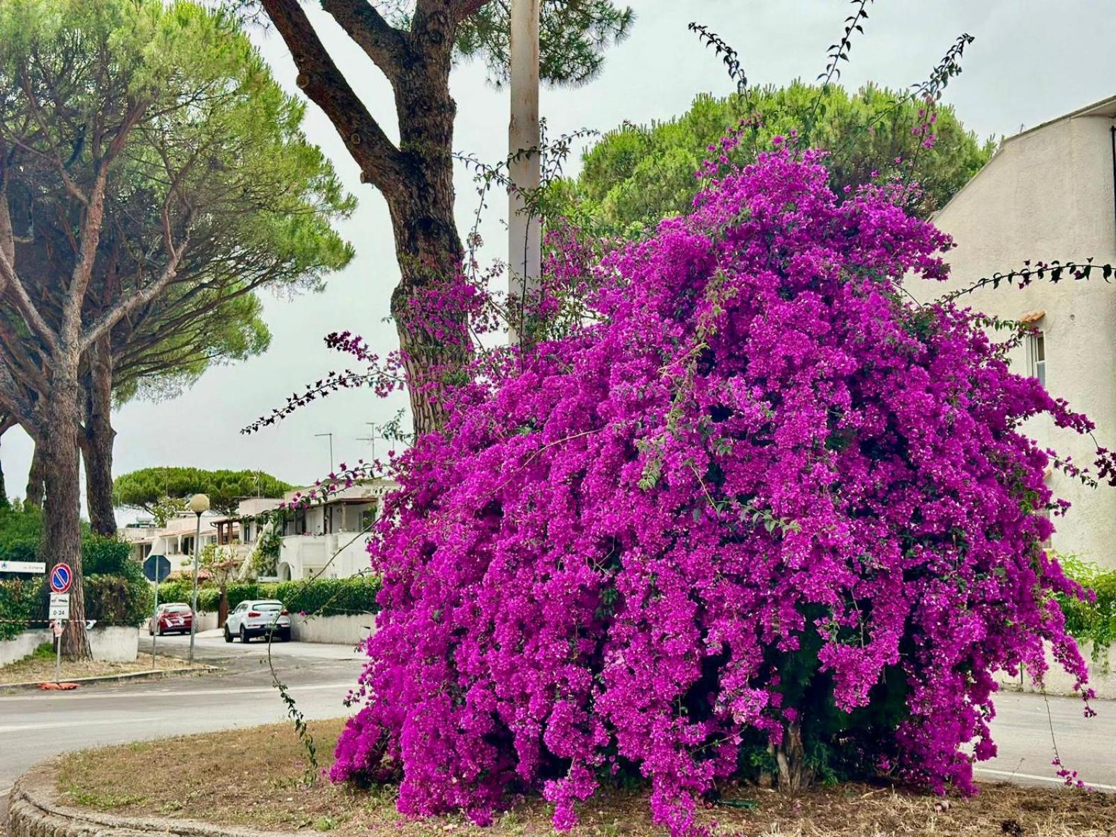 Vila Casa Mila White Marina di Cerveteri Exteriér fotografie