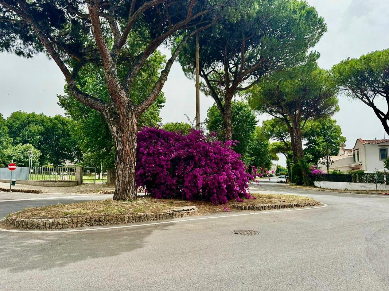 Vila Casa Mila White Marina di Cerveteri Exteriér fotografie